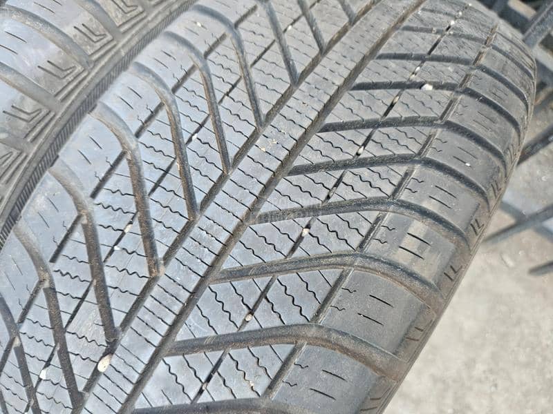 Goodyear 205/55 R16 Sve sezone