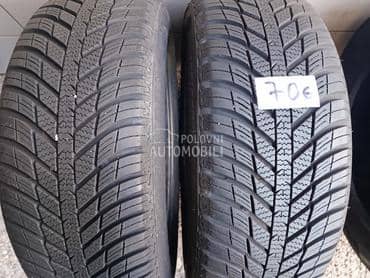Nexen 195/55 R15 Sve sezone