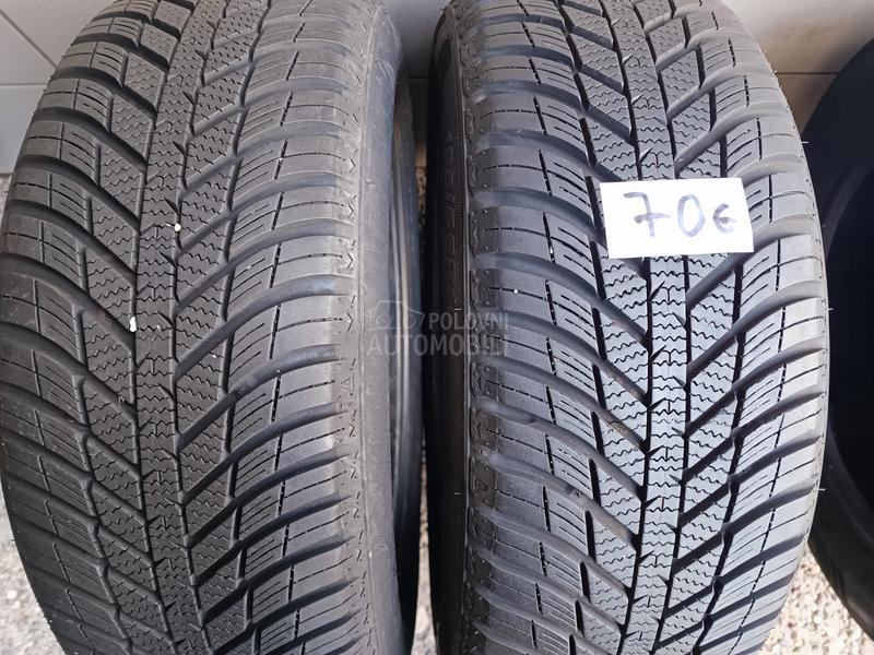 Nexen 195/55 R15 Sve sezone