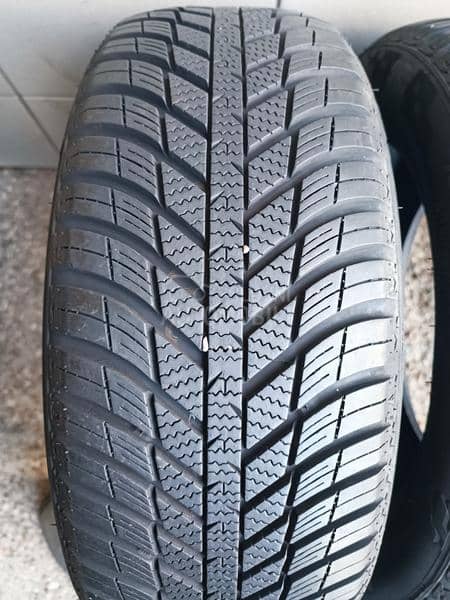 Nexen 195/55 R15 Sve sezone