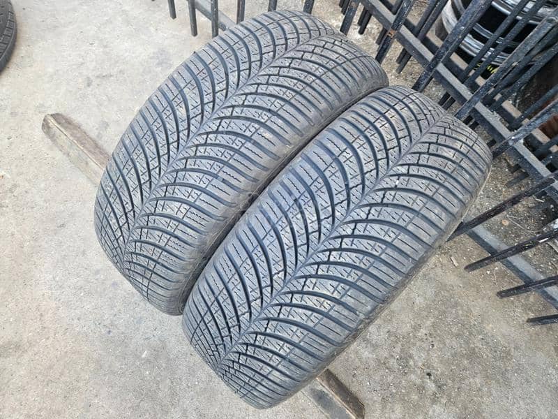 Goodyear 205/55 R16 Sve sezone