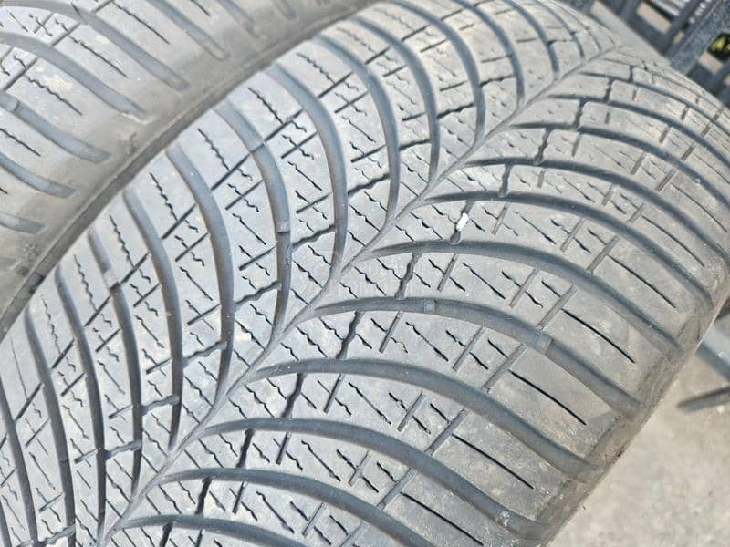 Goodyear 205/55 R16 Sve sezone