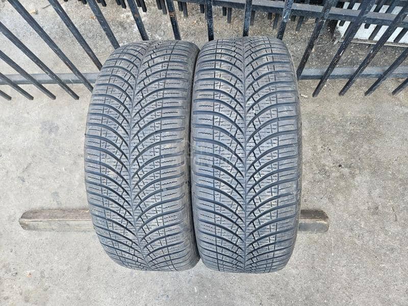 Goodyear 205/55 R16 Sve sezone