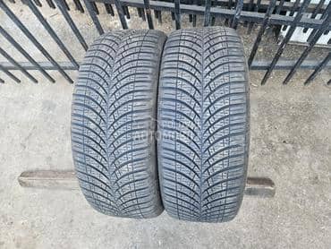 Goodyear 205/55 R16 Sve sezone