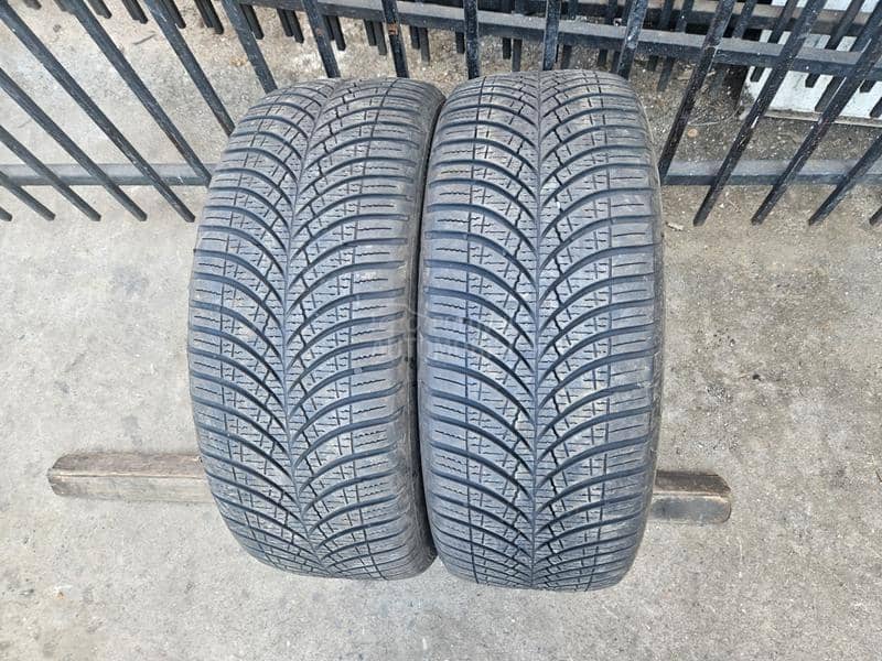 Goodyear 205/55 R16 Sve sezone