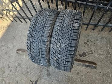 Goodyear 205/55 R16 Sve sezone