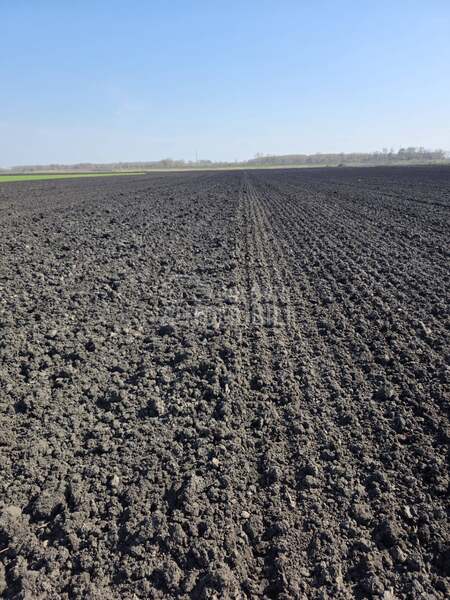 Amazone kx sa liftpack