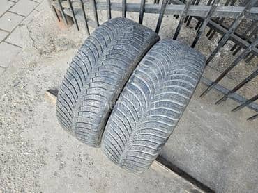 Goodyear 205/55 R16 Sve sezone