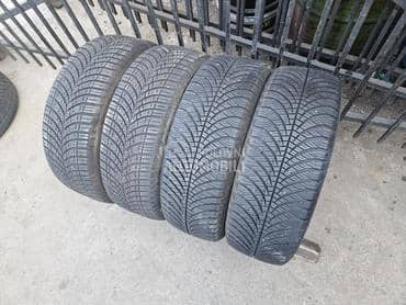 Goodyear 205/60 R16 Sve sezone