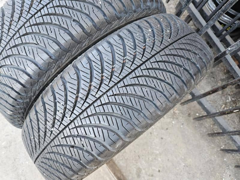 Goodyear 185/65 R15 Sve sezone