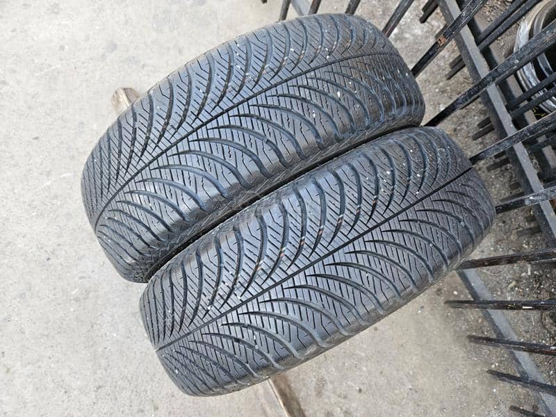 Goodyear 185/65 R15 Sve sezone