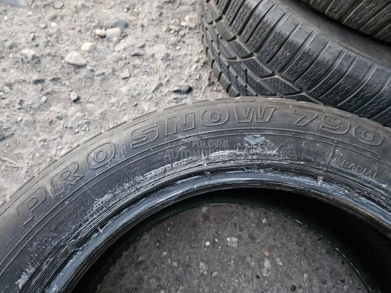 AGI 225/50 R17 Sve sezone