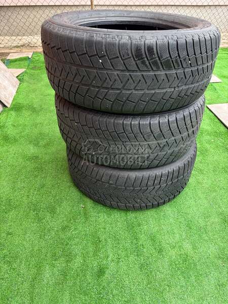 Michelin 255/55 R18 Zimska