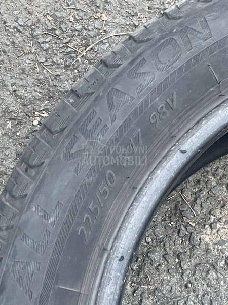 Riken 225/50 R17 Sve sezone