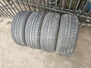 Michelin 205/55 R17 Sve sezone