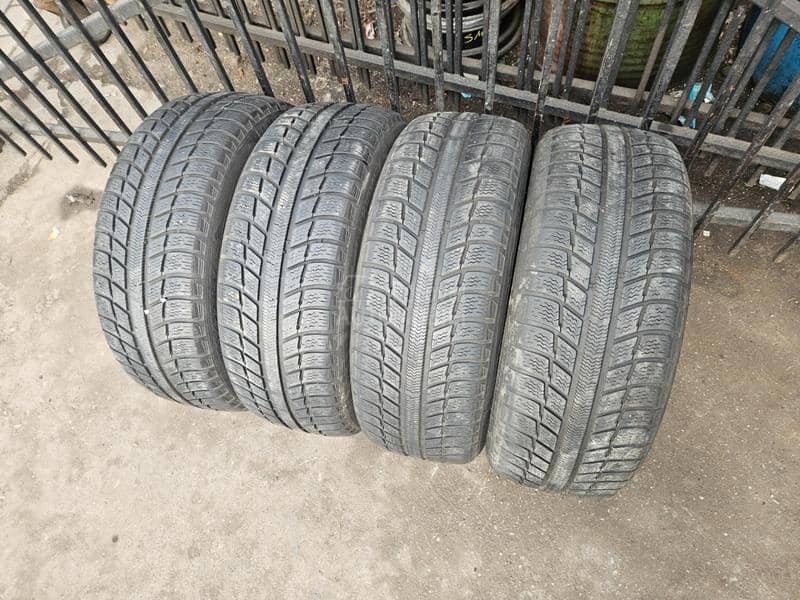 Michelin 205/55 R17 Sve sezone