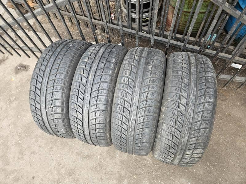 Michelin 205/55 R17 Sve sezone
