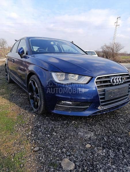 NOSACI BRANIKA PRRDNJI