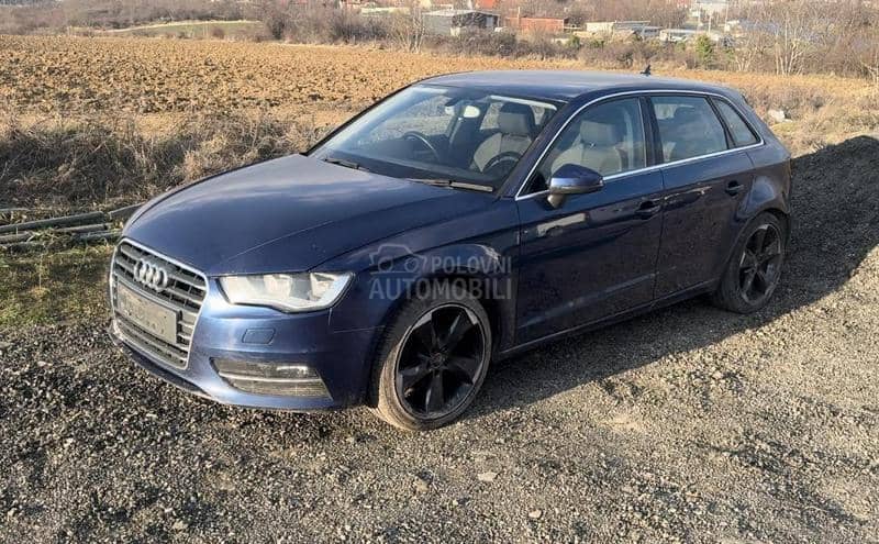 NOSACI BRANIKA PRRDNJI