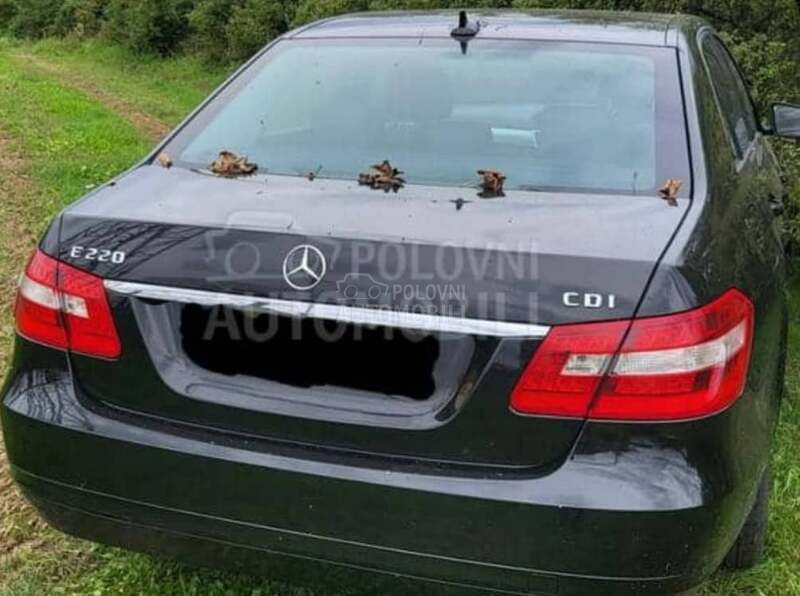 Mercedes Benz E 220 2200 2011. god. -  kompletan auto u delovima