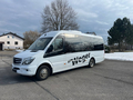 Mercedes Benz Sprinter 519 Altas