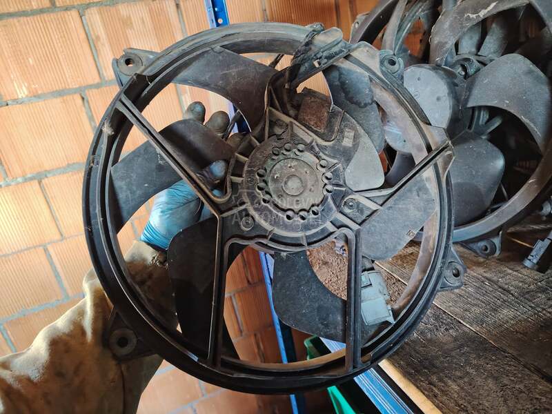 Ventilator motora