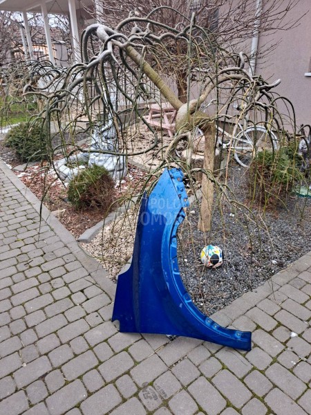 DFSK 580 Pro desno krilo blato