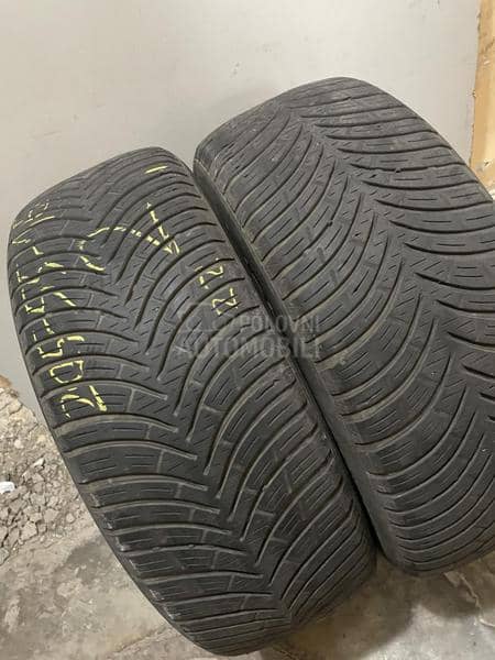 BFGoodrich 205/55 R16 Sve sezone