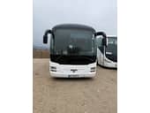 MAN Lions Regio god reg