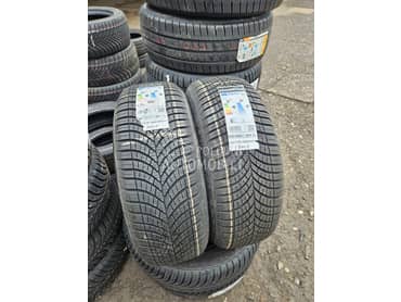 Goodyear 205/55 R17 Sve sezone