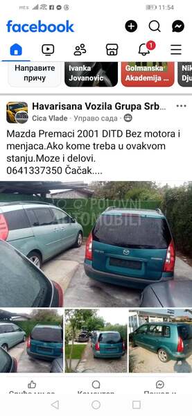 amorzizeri