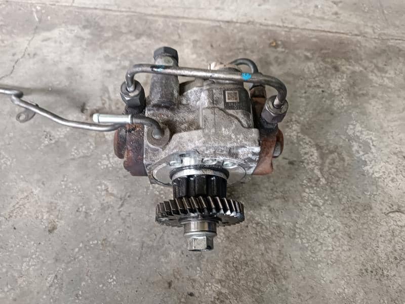 Bos pumpa