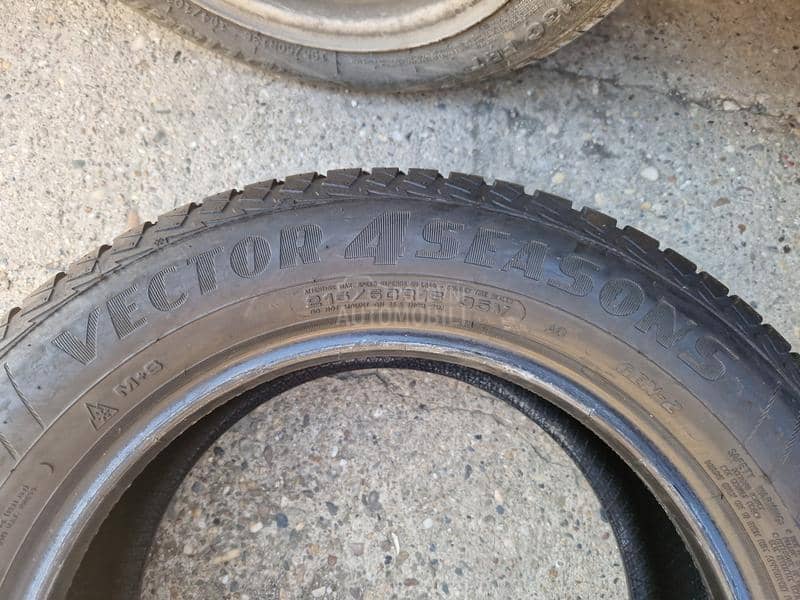 Goodyear 215/60 R16 Sve sezone