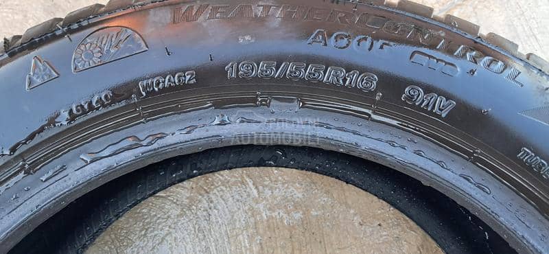 Bridgestone 195/55 R16 Sve sezone