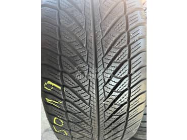 Goodyear 255/50 R19 Zimska