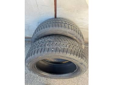 Continental 225/55 R17 Zimska