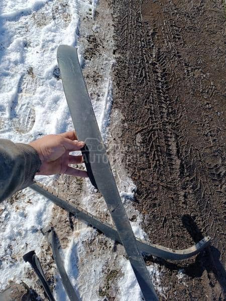 Lajsna ispod branika