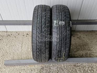 Riken 175/70 R14 Letnja