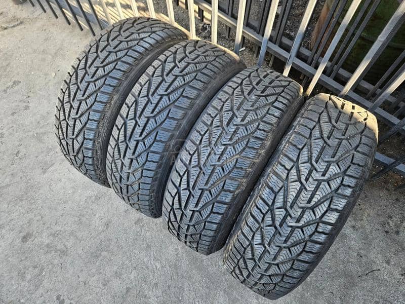 Tigar 195/65 R15 Zimska