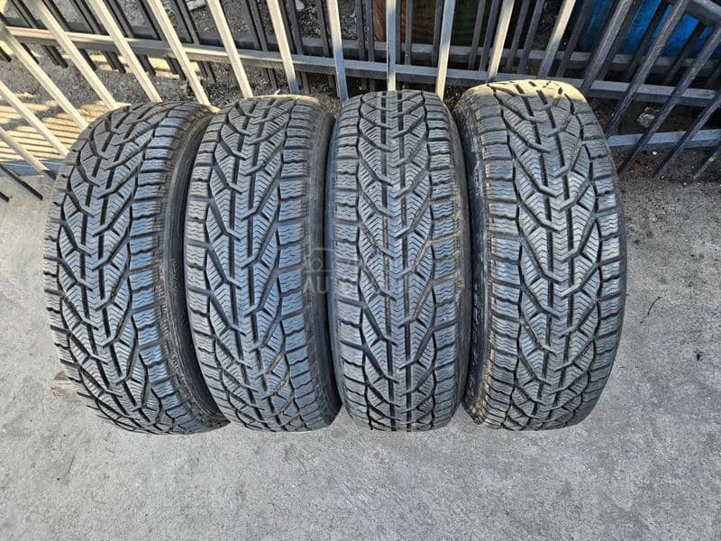 Tigar 195/65 R15 Zimska