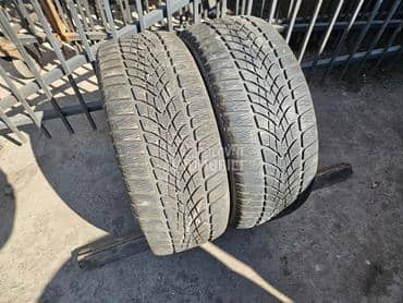 Dunlop 225/55 R17 Sve sezone