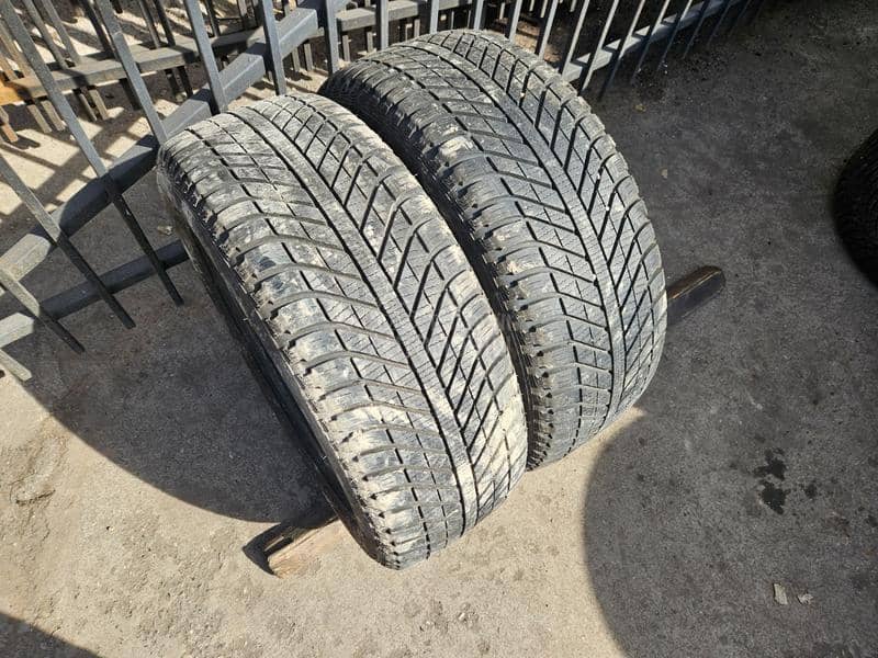 Goodyear 235/55 R17 Sve sezone
