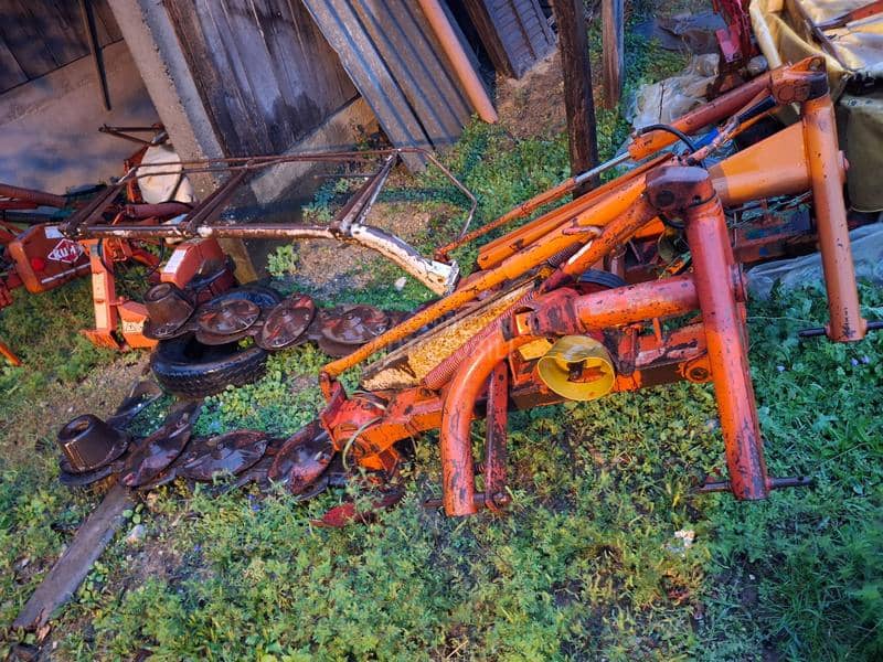 Kuhn Kun vikon  roto kosa