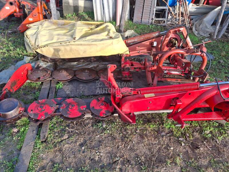 Kuhn Kun vikon  roto kosa