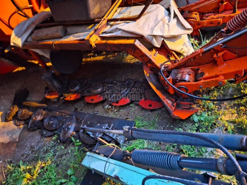 Kuhn Kun vikon  roto kosa