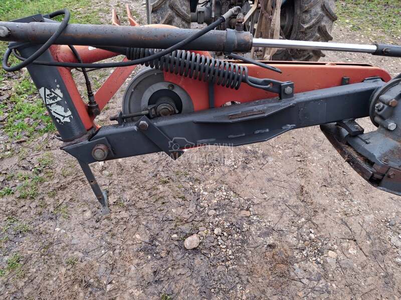 Kuhn Kun vikon  roto kosa