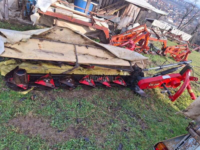 Kuhn Kun vikon  roto kosa