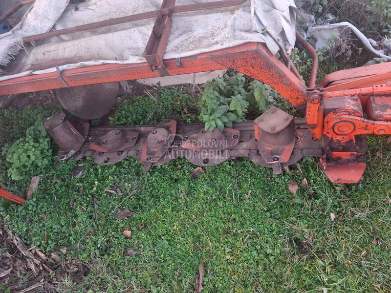 Kuhn Kun vikon  roto kosa