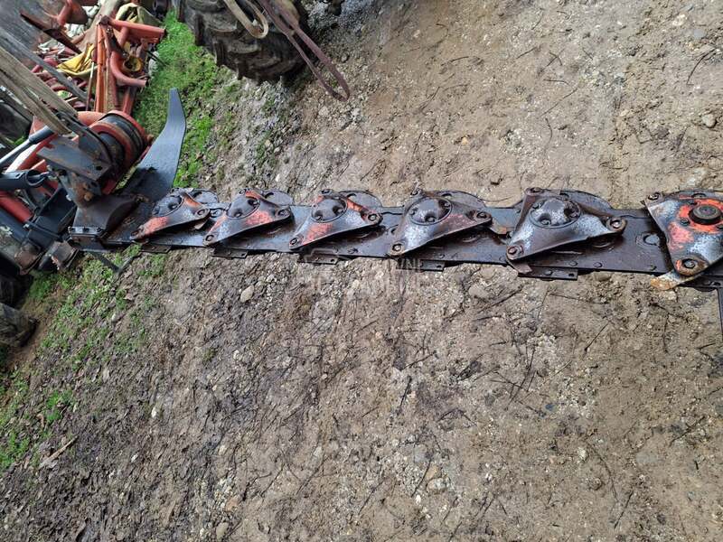 Kuhn Kun vikon  roto kosa