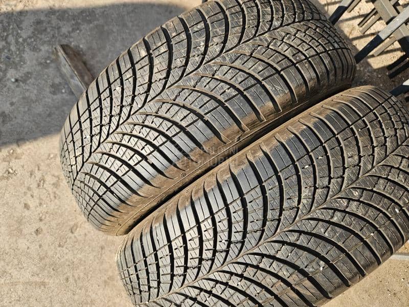 Goodyear 195/60 R15 Sve sezone